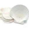 Nantucket Seafood 4 Natural Canape Shells -Gourmet Grills 030734047705.1