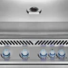 Napoleon Built-in 700 Series 32 RB -Gourmet Grills BIG32RB Grillhead Str Closed KnobsOn Lit 800px